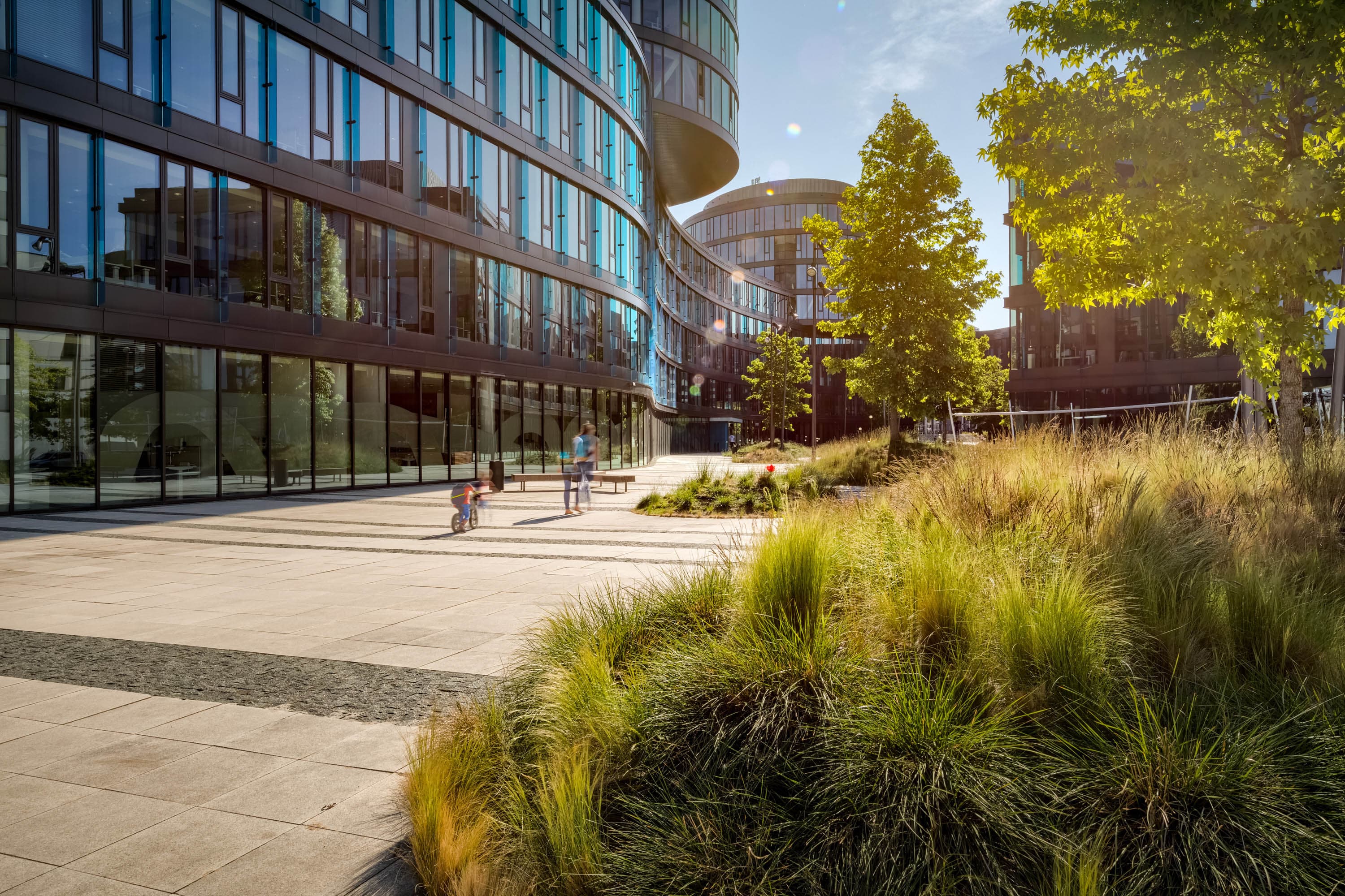 Referenční fotografie: WALTROVKA 2023 DEMO FOTOGRAFIE 003.