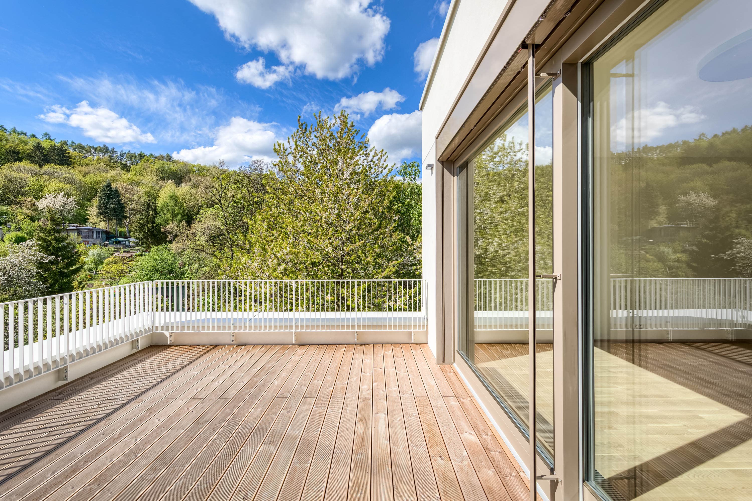 Referenční fotografie: Waltrovka Pod Vidoulí Duben 2025 037.